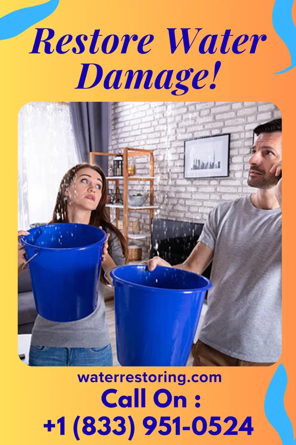 water restoration Advanced Water Repair Masters South Duxbury