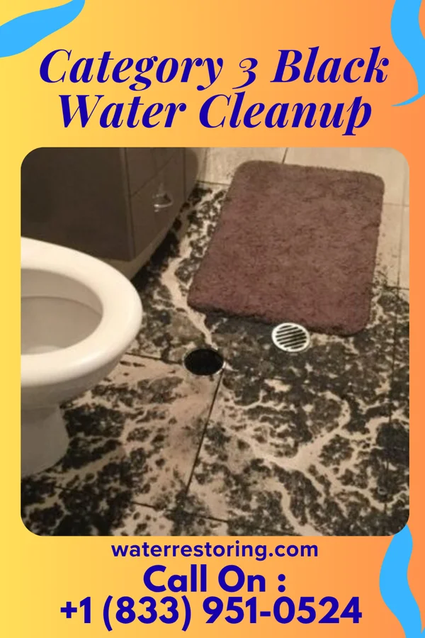 Category 3 Black Water Cleanup in South Duxbury, MA