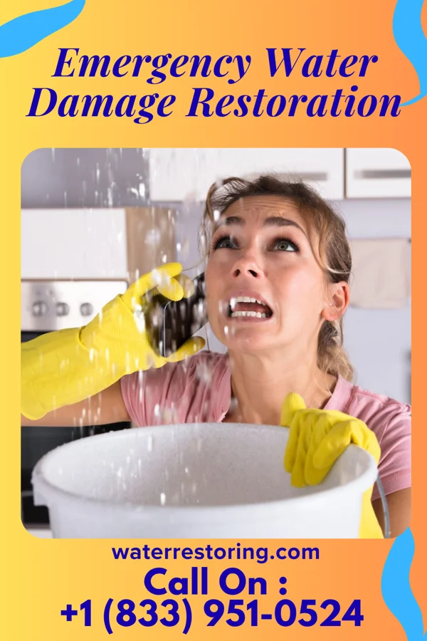 Emergency Water Damage Restoration in South Duxbury, MA