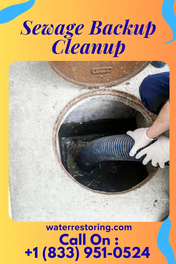 Sewage Backup Cleanup in South Duxbury, MA