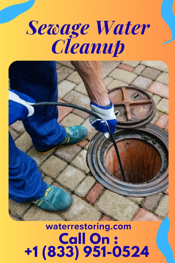 Sewage Water Cleanup in South Duxbury, MA